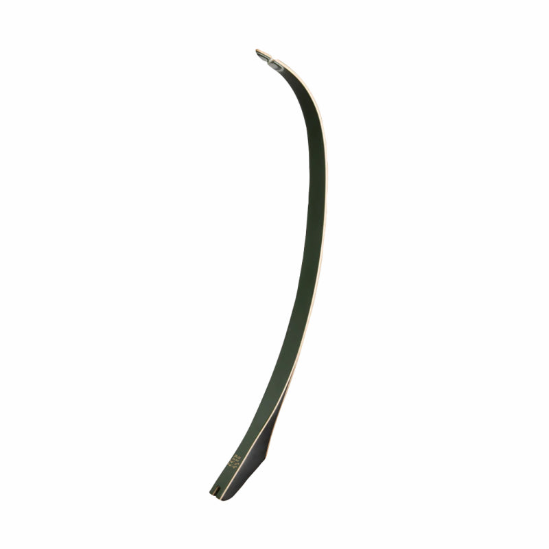 Bear Archery TD Limbs Phenolic with Green Glass